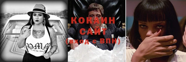 ПСИЛОЦИБИНОВЫЕ ГРИБЫ Алексин