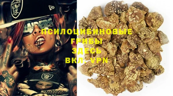тгк Алексеевка