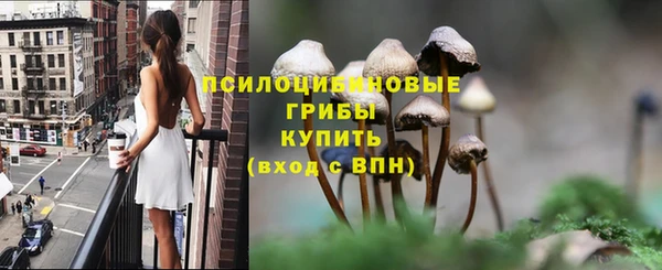 ПСИЛОЦИБИНОВЫЕ ГРИБЫ Алексин